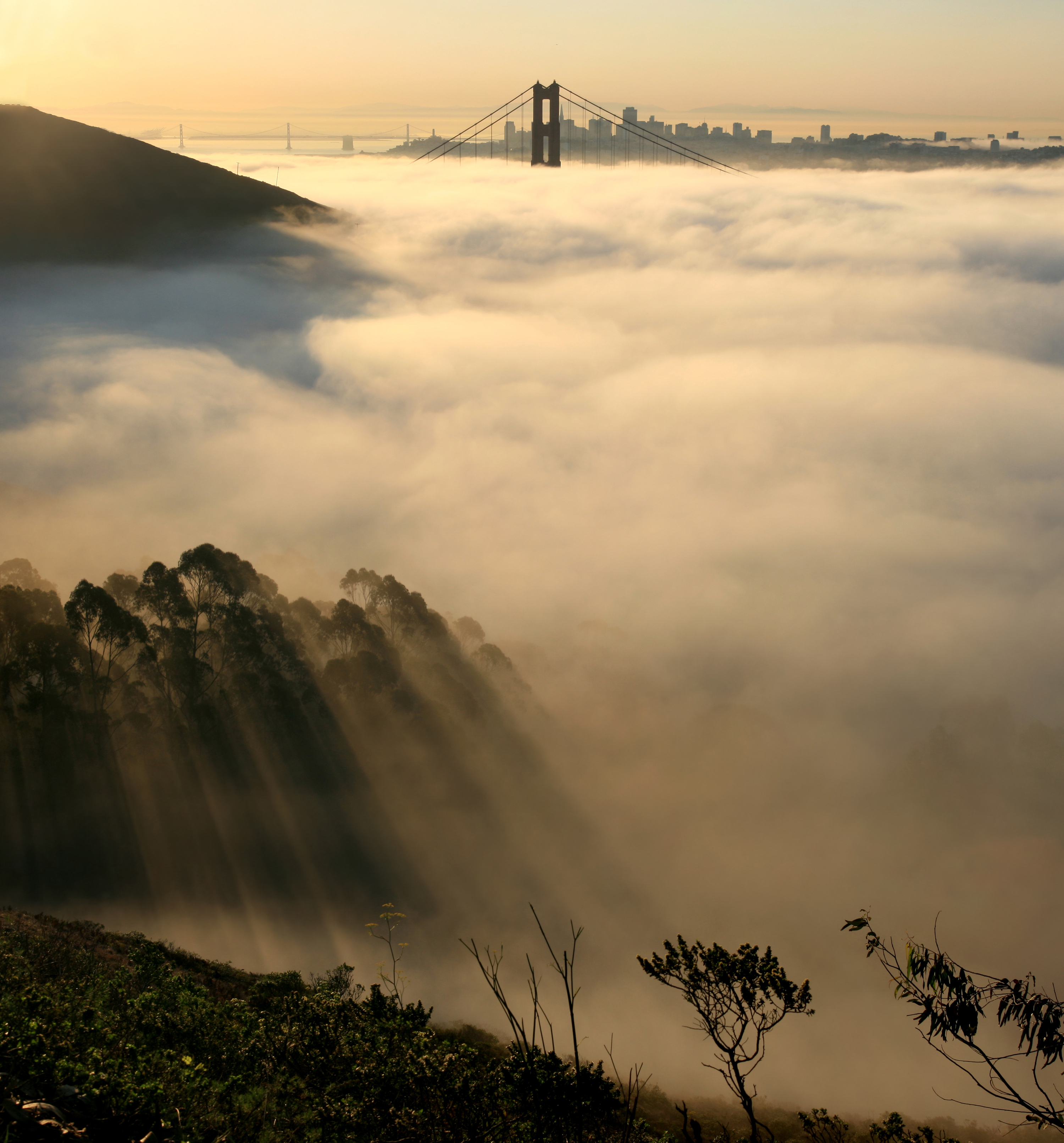 San_francisco_in_fog_with_rays